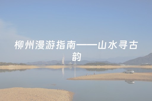 玩家必备攻略“微信小程序陕西麻将辅牌器购买”（开挂神器下载)