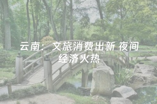 分享玩家攻略“微信小程序辽宁麻将专用神器”（装挂怎么安装)