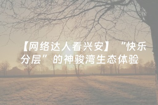 推荐十款“微信小程序家乡麻将怎么让系统发好牌”（有没有猫腻)