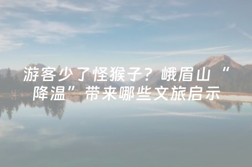 游客少了怪猴子？峨眉山“降温”带来哪些文旅启示
