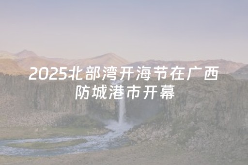 2025北部湾开海节在广西防城港市开幕