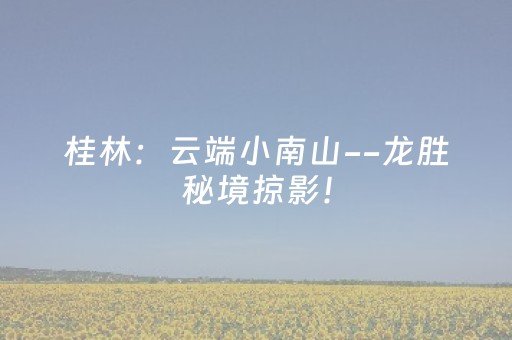 玩家必看“微信小程序云南麻将怎么让系统发好牌”（AI辅助胡牌规则)