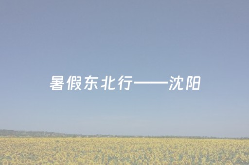 关于“手机麻将助赢神器免安装”（辅助器通用版)