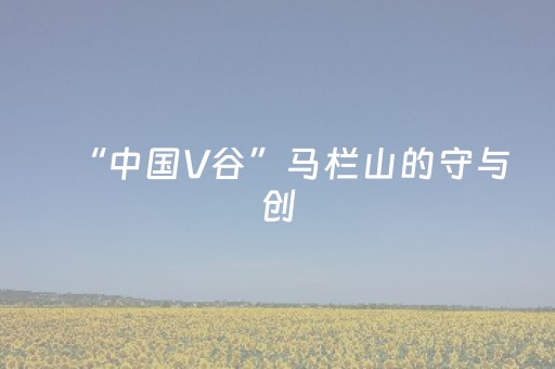 “中国V谷”马栏山的守与创