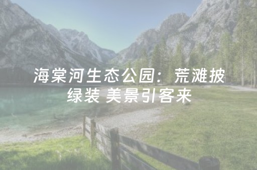 安装教程“手机麻将怎么让系统给你发好牌”（怎么控制输赢)