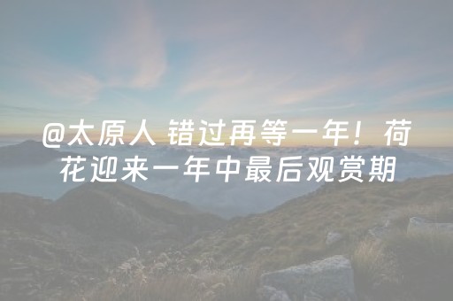 安装教程“微信财神十三张辅助器下载”（开挂辅助器插件)