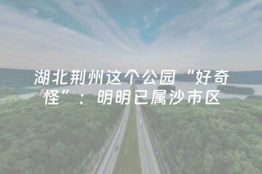 大神教教你“微信小程序填大坑一直输”（究竟是不是有挂)