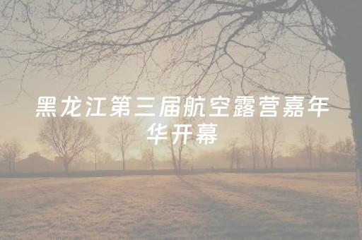 黑龙江第三届航空露营嘉年华开幕