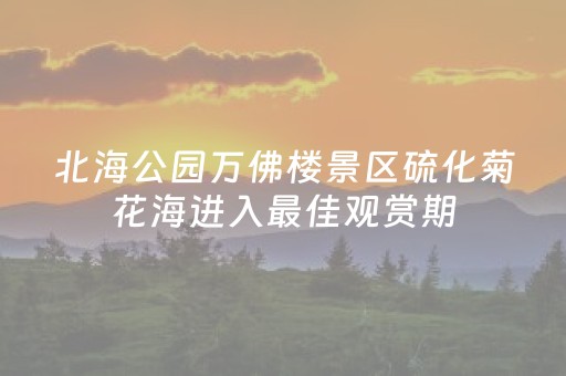 玩家必看科普“微信小程序填大坑辅助器免费版”（开挂神器下载)