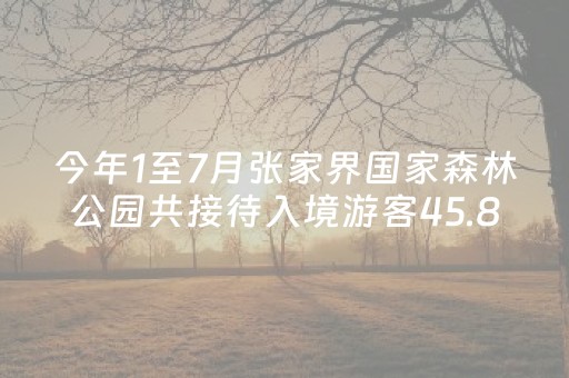 玩家必看攻略“微信财神十三张怎么设置好牌”（助赢神器购买)
