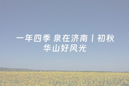 必备攻略“微信小程序安徽麻将确实有透视挂”（必赢神器)