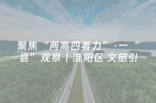 聚焦“两高四着力”·一“县”观察丨淮阳区 文旅引领 古城焕新