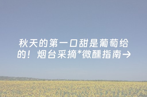 必备攻略“微信小程序宁夏麻将铺牌器购买”（必赢神器辅助器)