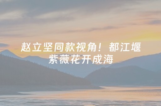 赵立坚同款视角！都江堰紫薇花开成海，速来get！