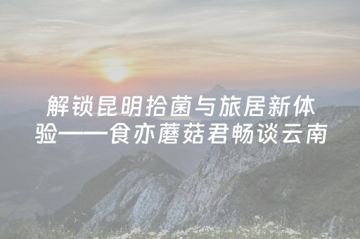 厉害了“财神十三张辅助器下载”（开挂辅助器插件)