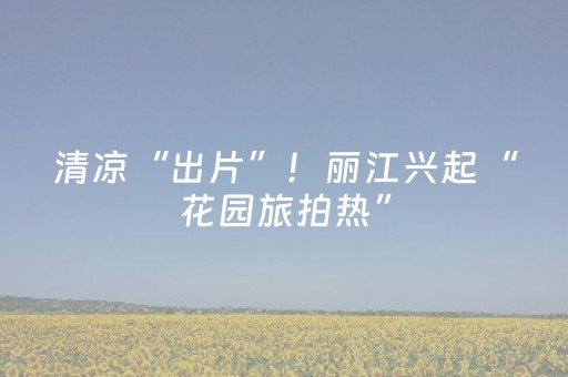 我来教大家“微信小程序山东麻将怎么让系统发好牌”（怎么才会赢)