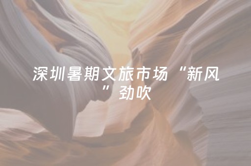 深圳暑期文旅市场“新风”劲吹