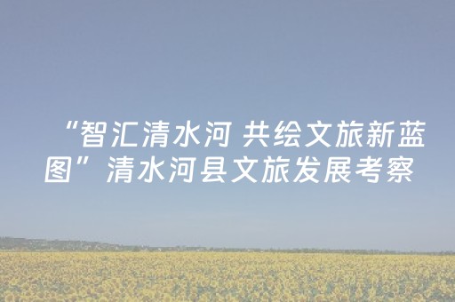 “智汇清水河 共绘文旅新蓝图”清水河县文旅发展考察交流活动盛大启幕