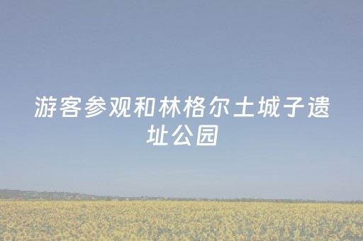 7分钟揭秘“雀神广东麻将输赢规律”（辅助器插件)