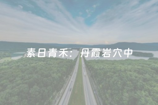 玩家必看攻略“微信小程序四川麻将胡牌神器”（开挂辅助器插件)