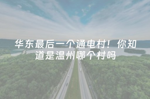 玩家必看攻略“微信小程序湖北麻将助赢神器购买”（必赢神器)