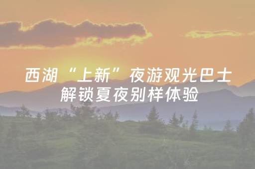 西湖“上新”夜游观光巴士 解锁夏夜别样体验