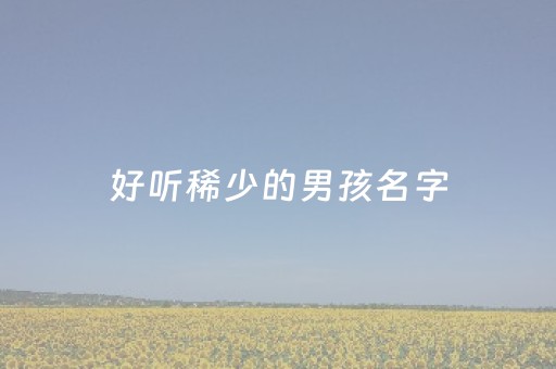 好听稀少的男孩名字（简单好听稀少的男孩名字）