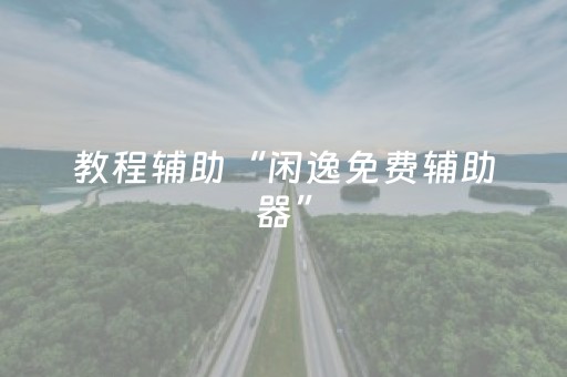 教程辅助“闲逸免费辅助器”（详细透视教程）-哔哩哔哩