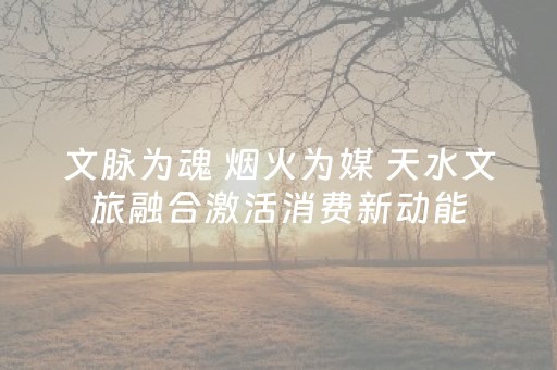 文脉为魂 烟火为媒 天水文旅融合激活消费新动能