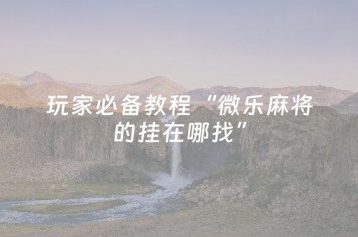 玩家必备教程“微乐麻将的挂在哪找”（详细透视教程）-哔哩哔哩