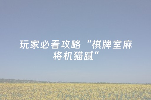 玩家必看攻略“棋牌室麻将机猫腻”（详细透视教程）-哔哩哔哩