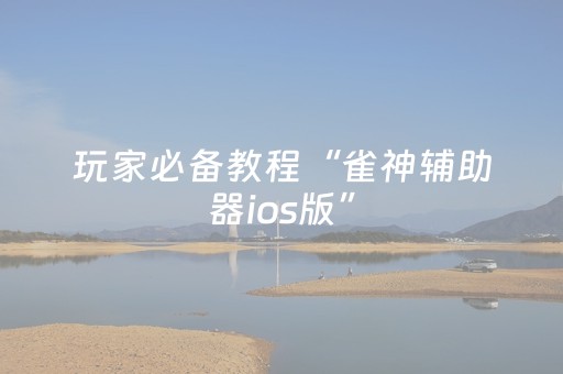 玩家必备教程“雀神辅助器ios版”（详细透视教程）-哔哩哔哩