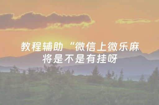 教程辅助“微信上微乐麻将是不是有挂呀（专用辅牌神器免安装）