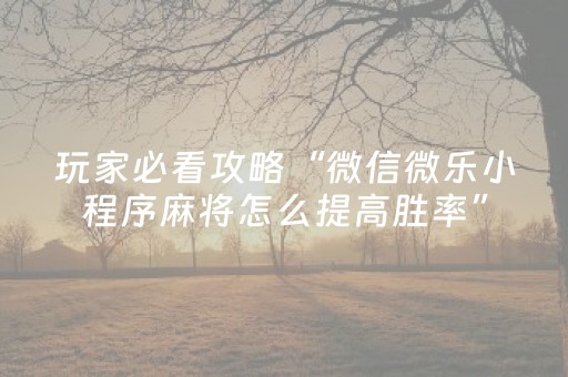 玩家必看攻略“微信微乐小程序麻将怎么提高胜率”（详细透视教程）-哔哩哔哩