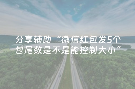 分享辅助“微信红包发5个包尾数是不是能控制大小”（详细透视教程）-哔哩哔哩