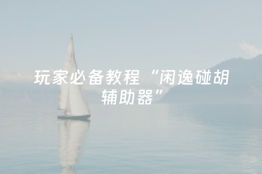玩家必备教程“闲逸碰胡辅助器”（详细透视教程）-哔哩哔哩