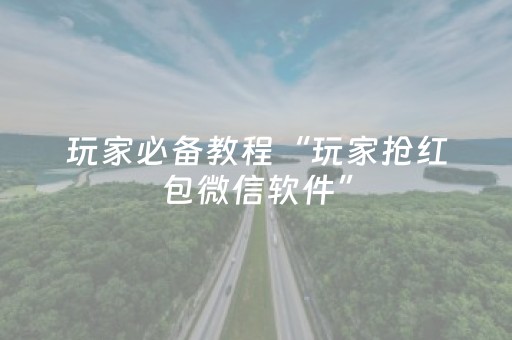 玩家必备教程“玩家抢红包微信软件”（详细透视教程）-哔哩哔哩