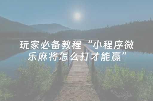 玩家必备教程“小程序微乐麻将怎么打才能赢”（详细透视教程）-哔哩哔哩