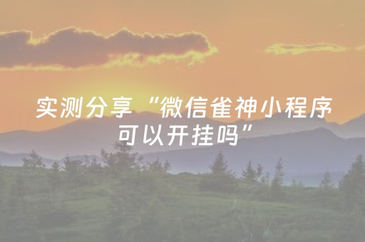 实测分享“微信雀神小程序可以开挂吗”（详细透视教程）-哔哩哔哩