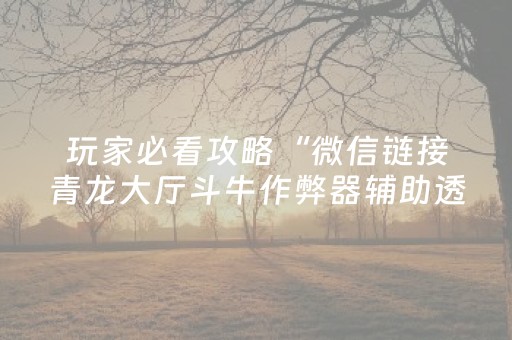 玩家必看攻略“微信链接青龙大厅斗牛作弊器辅助透视软件”（详细透视教程）-哔哩哔哩