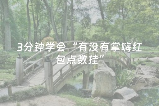 3分钟学会“有没有掌嗨红包点数挂”（详细透视教程）-哔哩哔哩