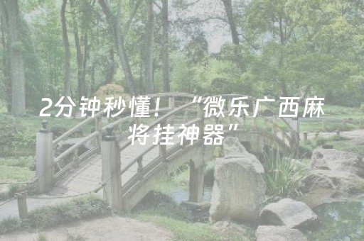 2分钟秒懂！“微乐广西麻将挂神器”（详细透视教程）-哔哩哔哩