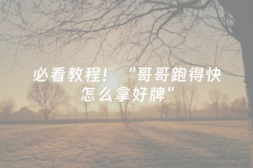 必看教程！“哥哥跑得快怎么拿好牌”（详细透视教程）-哔哩哔哩