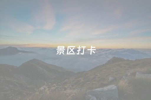 大神教教你“手机打牌高科技设备”（专用神器)