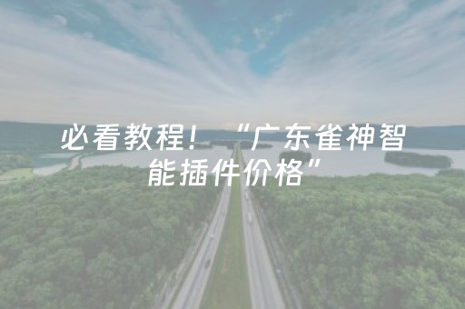 必看教程！“广东雀神智能插件价格”（详细辅助教程）-哔哩哔哩