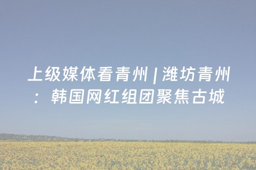 玩家必备十款“微信小程序辽宁麻将助赢神器”（控牌神器)