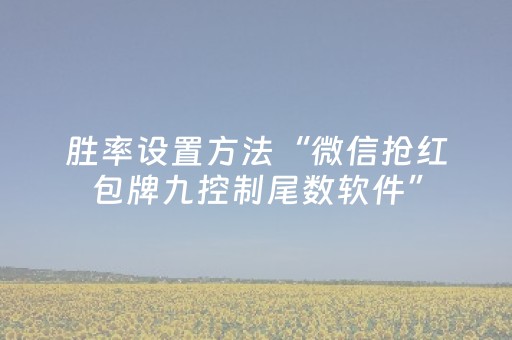 胜率设置方法“微信抢红包牌九控制尾数软件”（详细透视教程）-哔哩哔哩