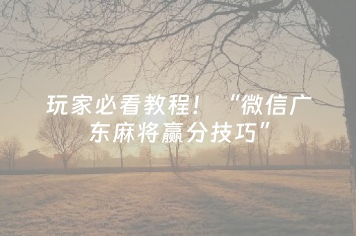 玩家必看教程！“微信广东麻将赢分技巧”（详细透视教程）-哔哩哔哩