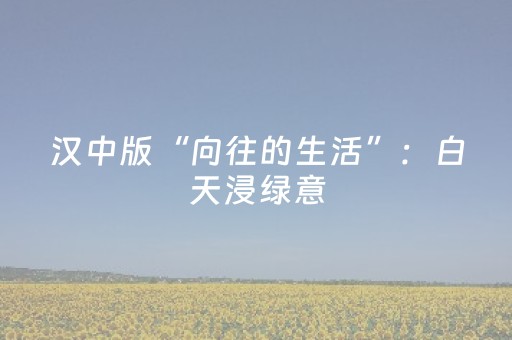 玩家必备“微信小程序海南麻将辅助器插件”（攻略插件)