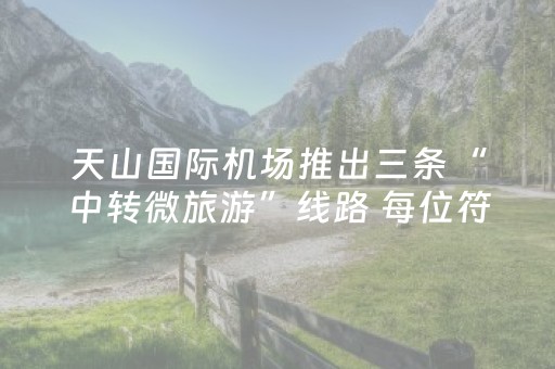 天山国际机场推出三条“中转微旅游”线路 每位符合条件的旅客可免费参与一条线路